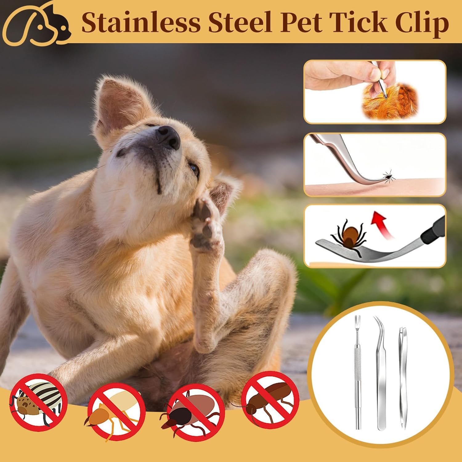 Pet Tick Remover Tweezers Kit  - Pet Supplies First ulasan dan harga