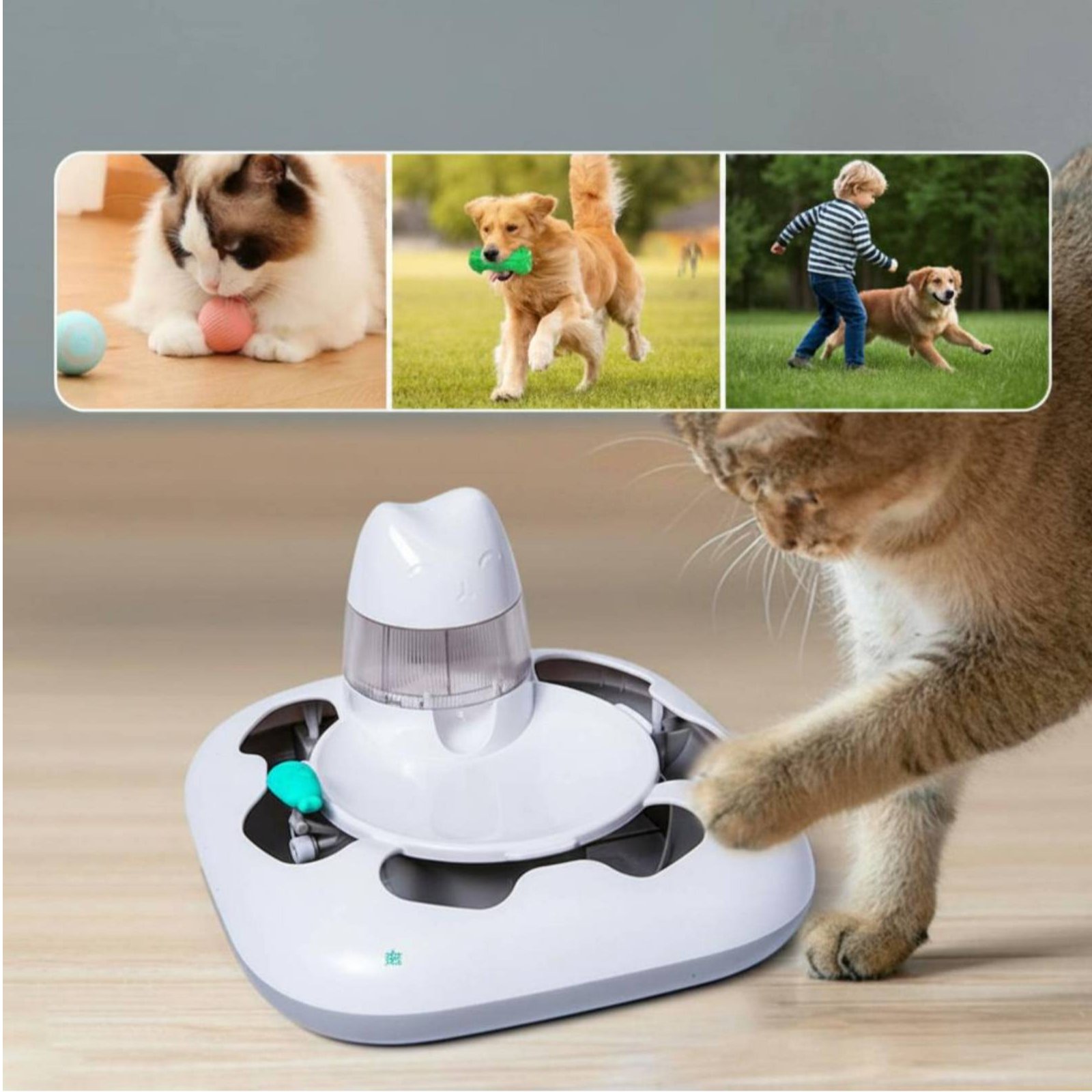 Cat Hunting Game Machine Inter - Interactive Cat Toy ulasan dan harga