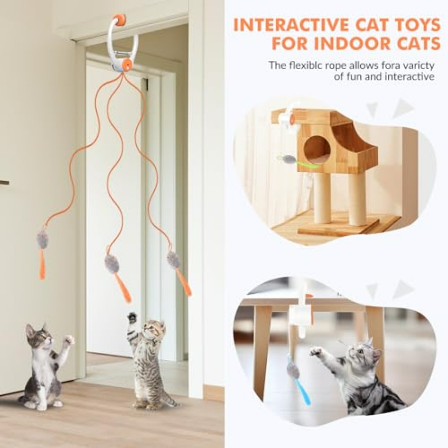 Interactive Cat Toys for Indoo - Interactive Cat Toy ulasan dan harga