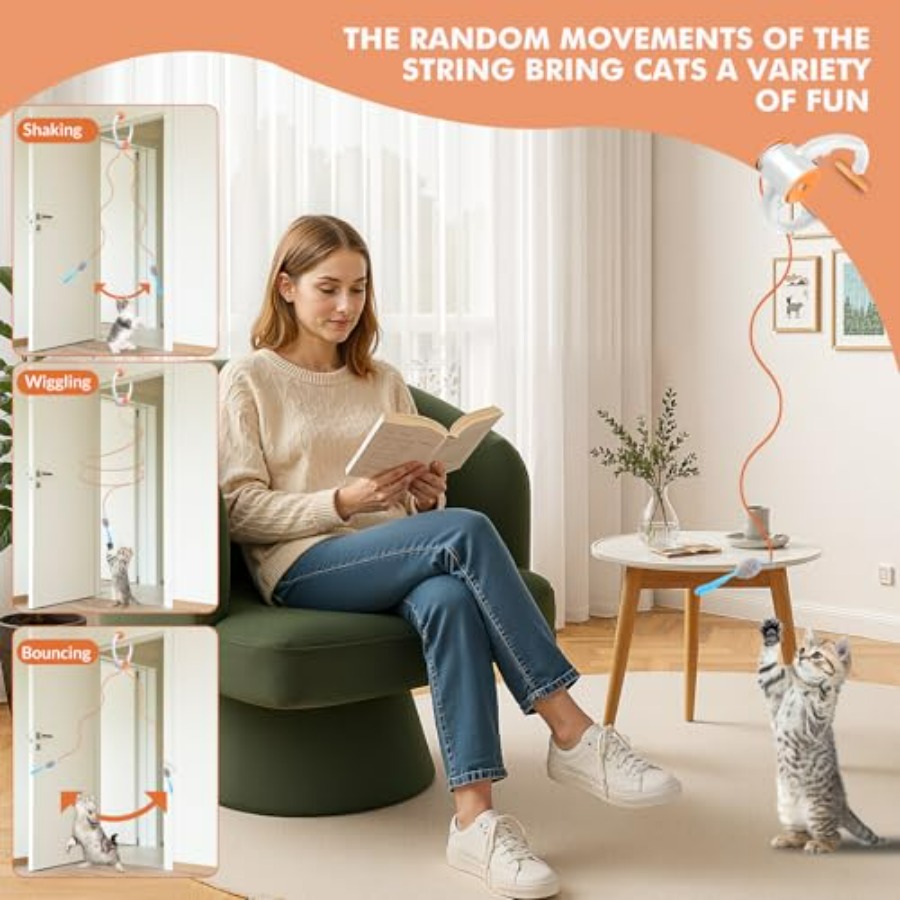 Interactive Cat Toys for Indoo - Interactive Cat Toy ulasan dan harga