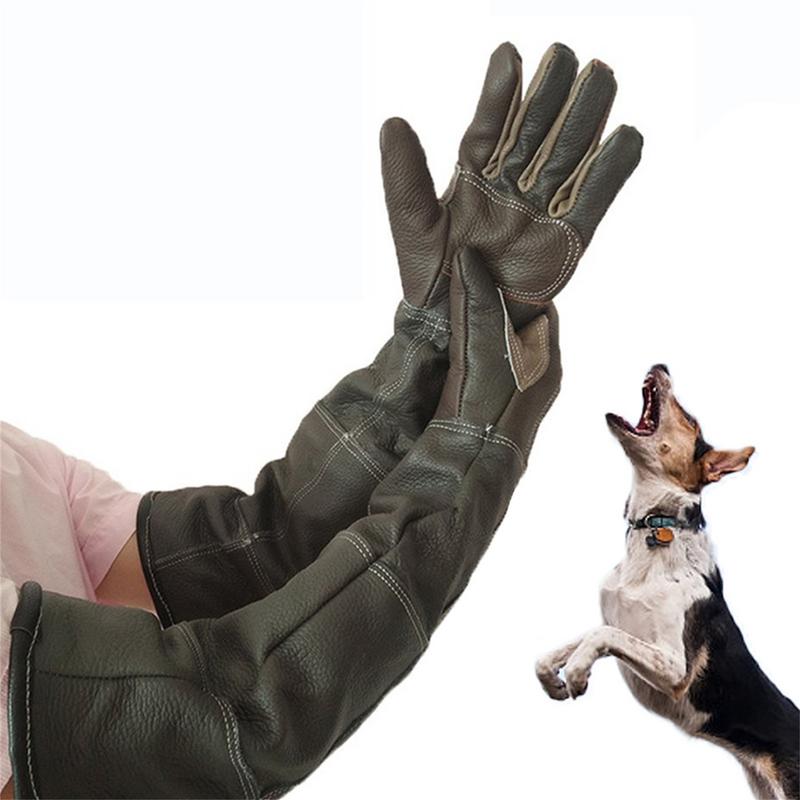 Pet Gloves Cowhide Leather Ant - Pet Grooming Glove ulasan dan harga