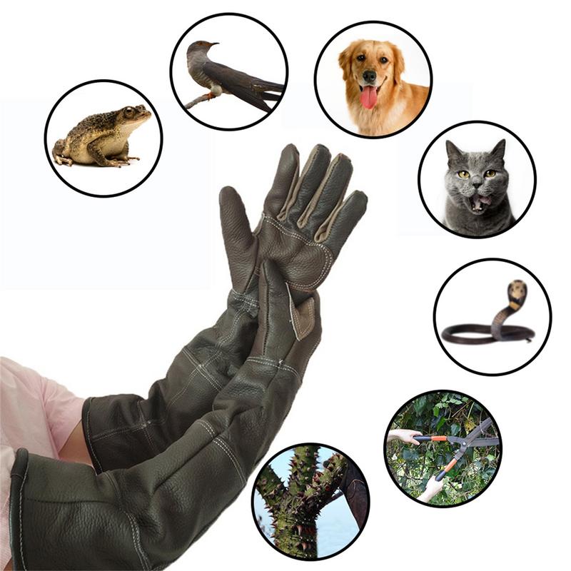 Pet Gloves Cowhide Leather Ant - Pet Grooming Glove ulasan dan harga