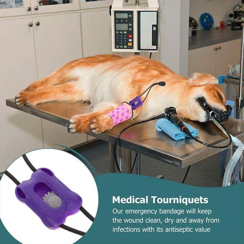 Professional Pet Cat Dog Anima - Pet Supplies First ulasan dan harga