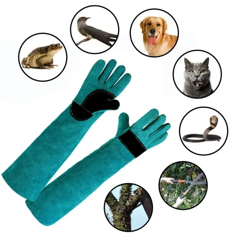 Anti-bite Safety Bite Gloves F - Pet Grooming Glove ulasan dan harga