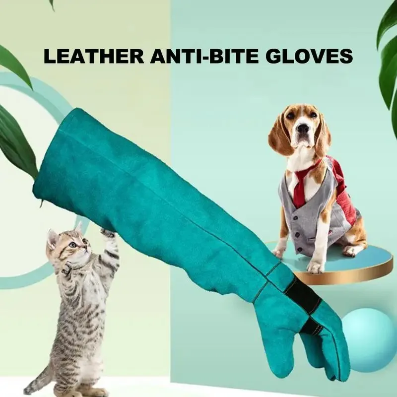 Anti-bite Safety Bite Gloves F - Pet Grooming Glove ulasan dan harga