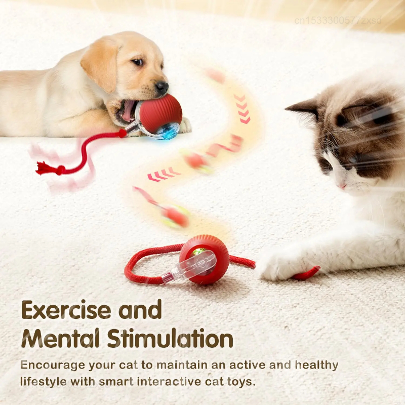 Cat Interactive Ball Toy Autom - Interactive Cat Toy ulasan dan harga
