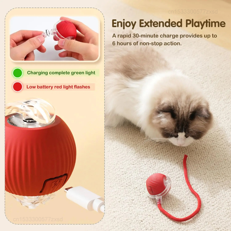 Cat Interactive Ball Toy Autom - Interactive Cat Toy ulasan dan harga